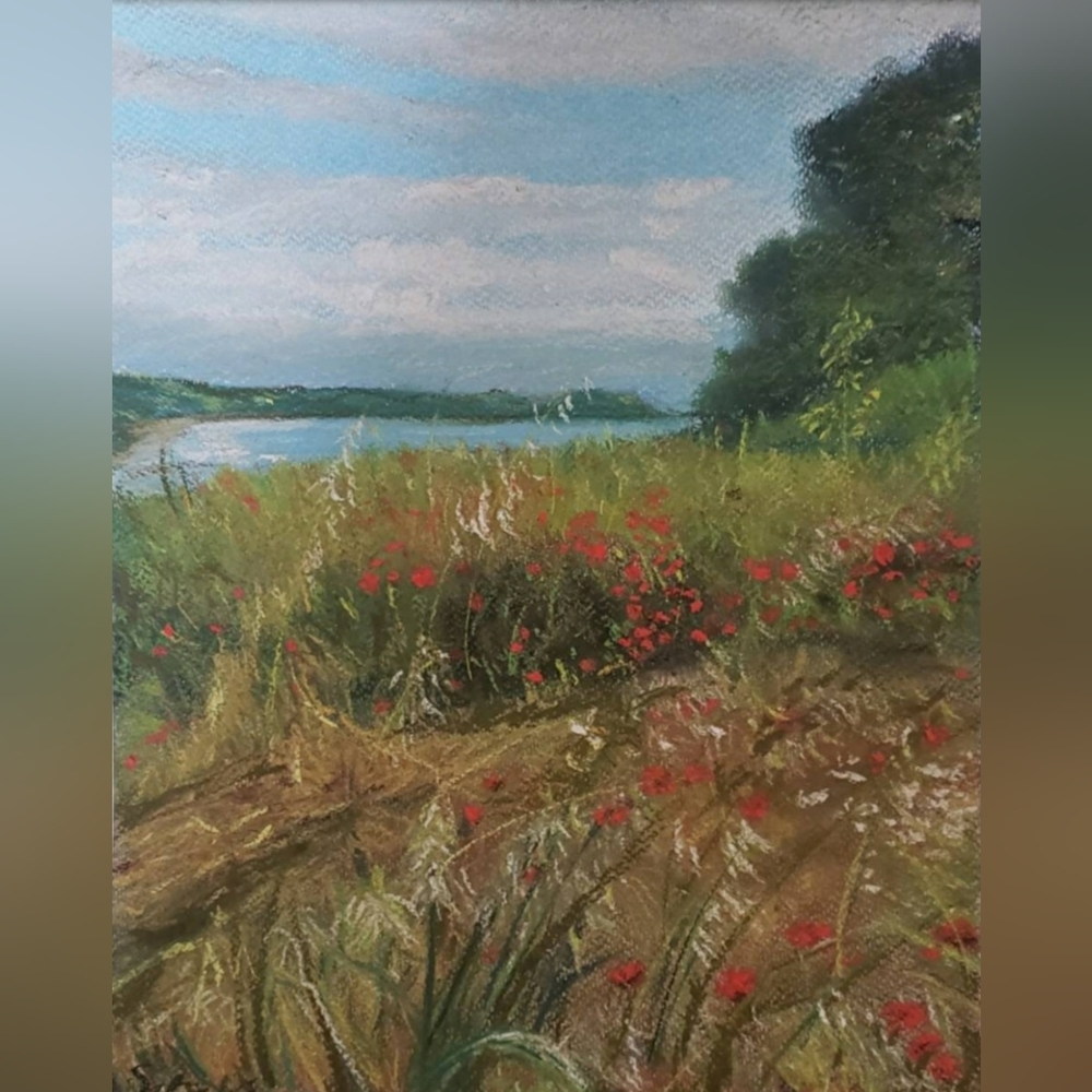 Poppy landscape Original soft pastel painting by me